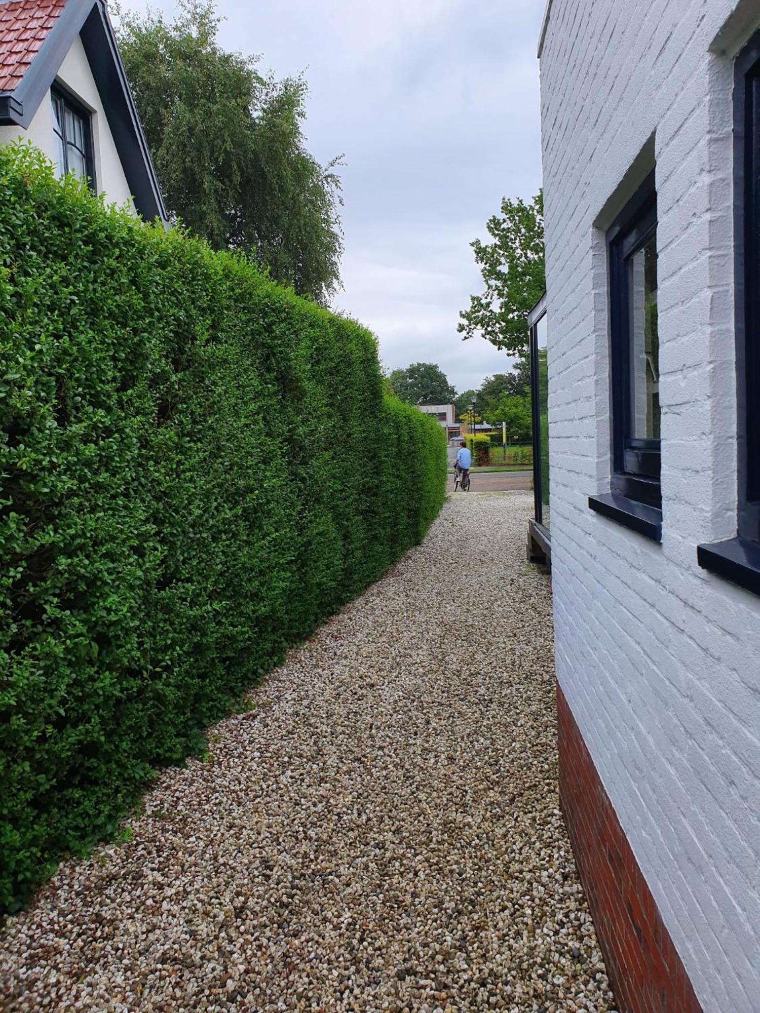 Zelfstandig Gastenverblijf In Het Groene Haren Nabij Groningen Eksteriør bilde